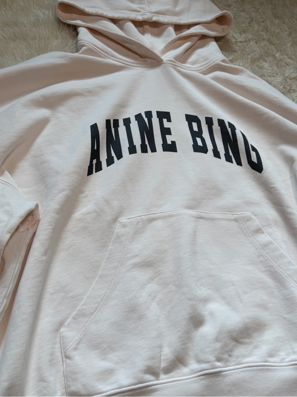 NWT Anine Bing Harvey Hooded Sweatshirt in Washed Pink - Size Large - Picture 4 of 7